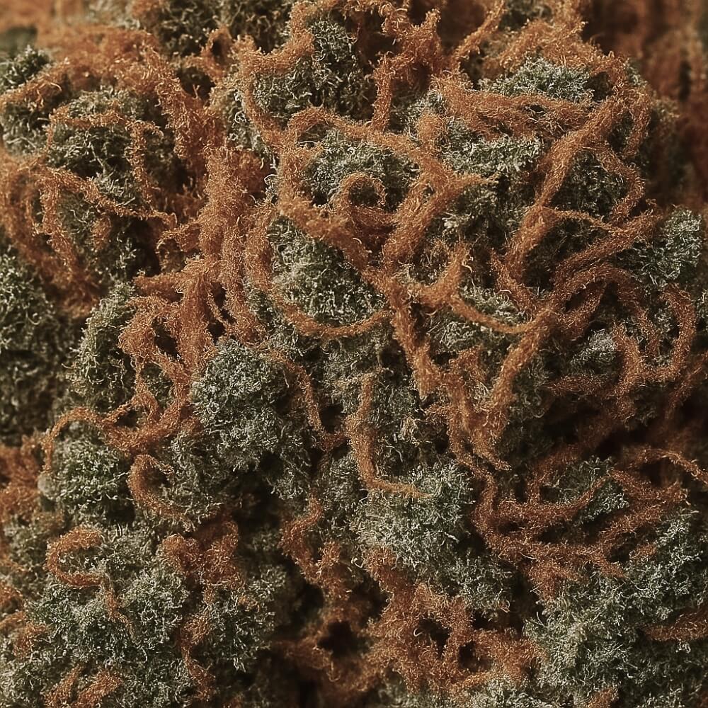 Strawberry fleur cbd