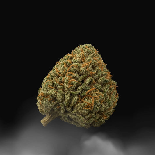 JACK_HERER CBD